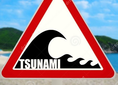 Heftiges Erdbeben! Tsunami-Warnung nach Erdstoß der Stärke 7,4