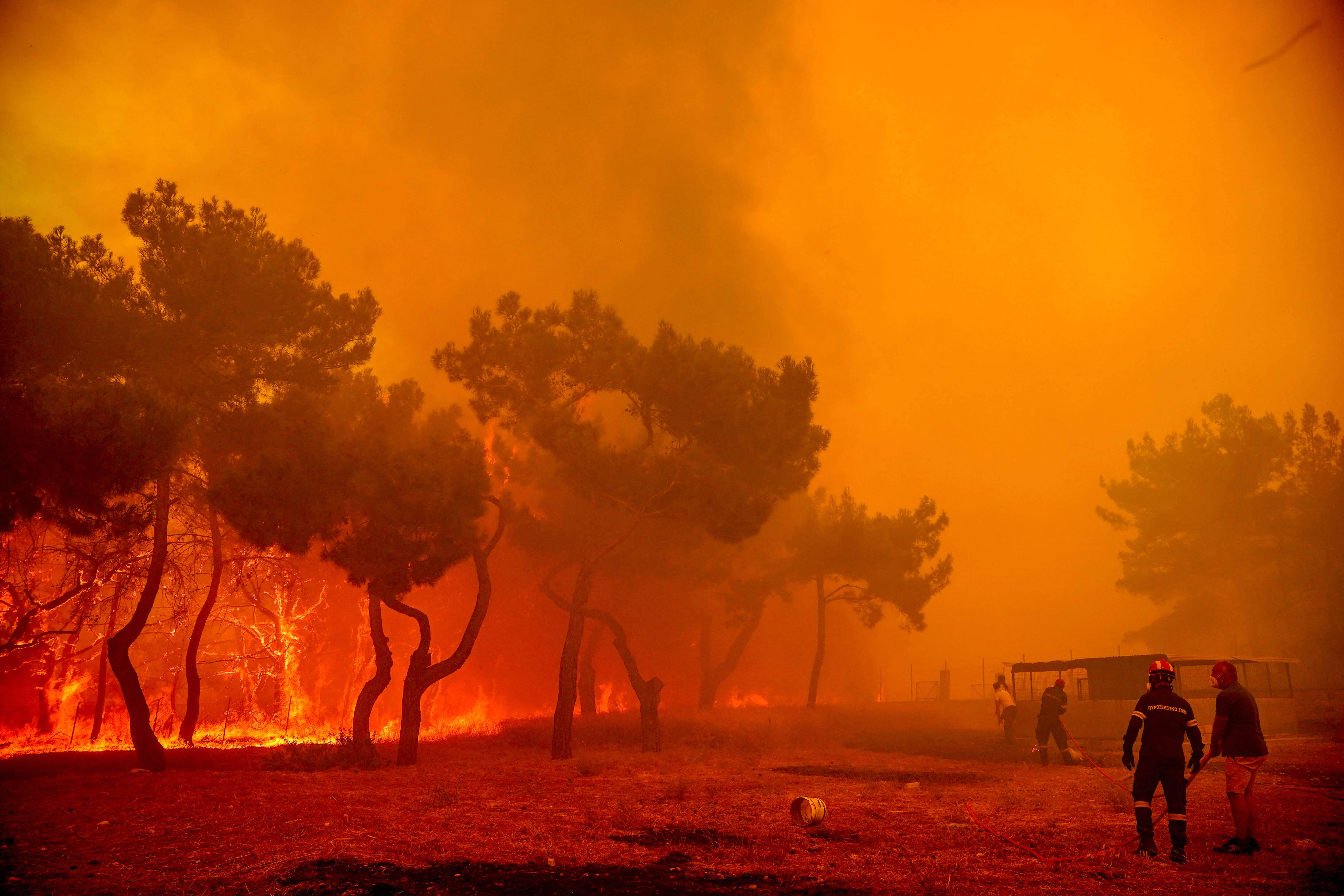 TUI stoppt Rhodos-Flüge! Waldbrände auf Rhodos außer Kontrolle - Touristen gefährdet!