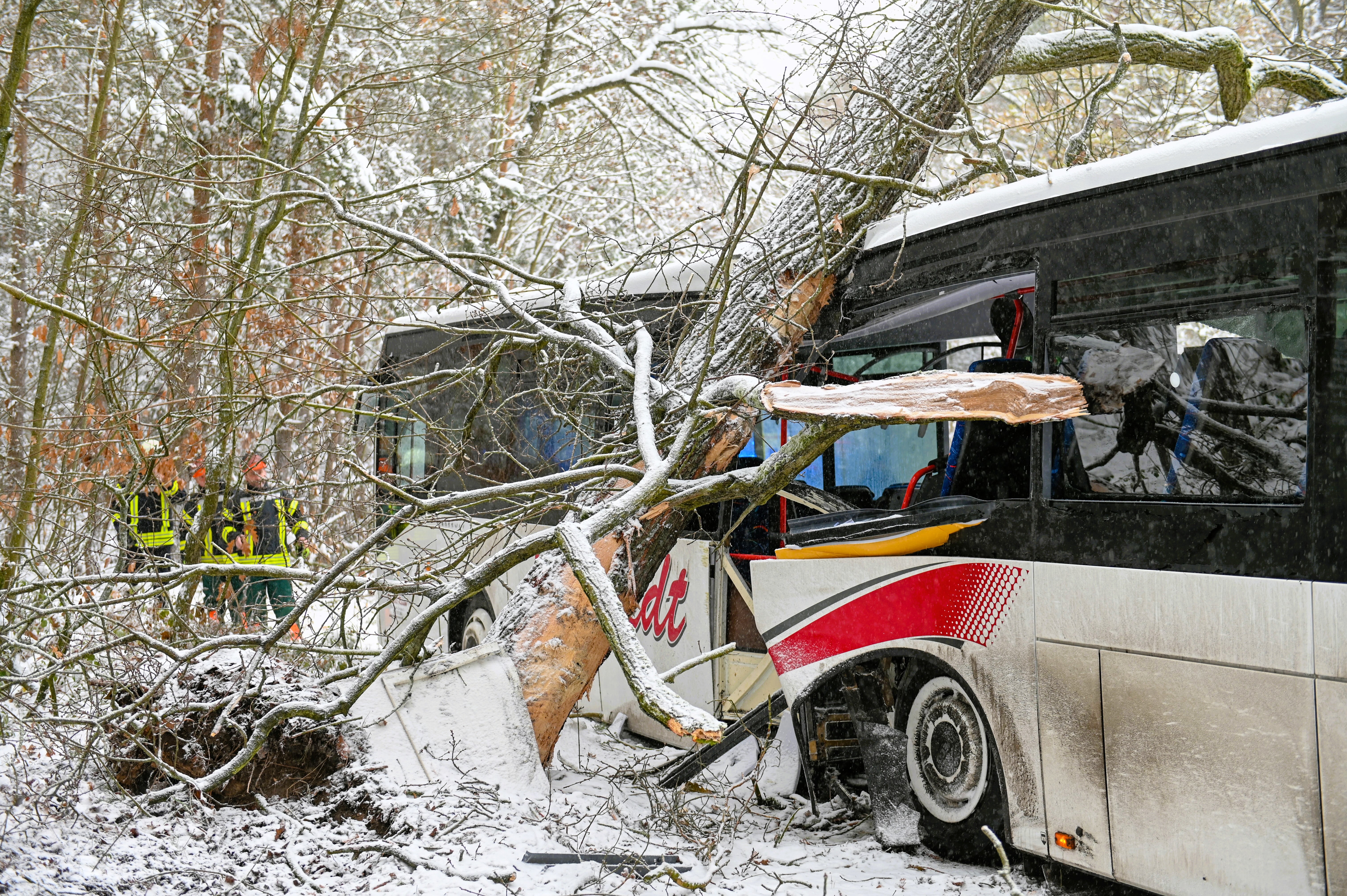 Trauer! Bräutigam (31) stirbt bei Junggesellenabschied! Busunglück auf Rodelausflug war Geschenk der Braut!