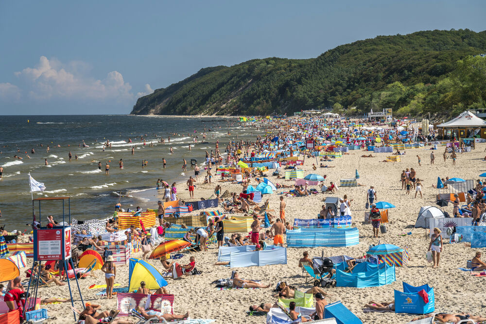 Quallen-Horror! Alarm an der Ostsee - Zahlreiche Badegäste durch Feuerquallen verletzt
