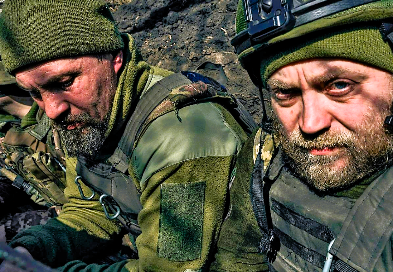 Seuchenausbruch unter russischen Soldaten! Putins Armee hat mit Rattenbissfieber zu kämpfen